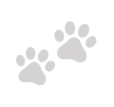 paw