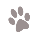 paw