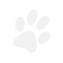 paw